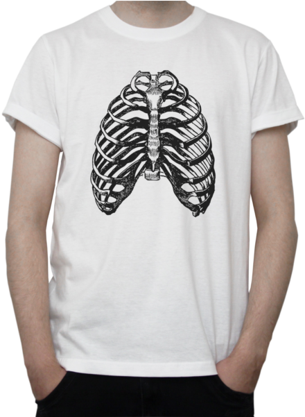 Vintage Anatomy Design T-shirt Retro Style Drawing - Silk Road Logo T Shirt (527x600), Png Download