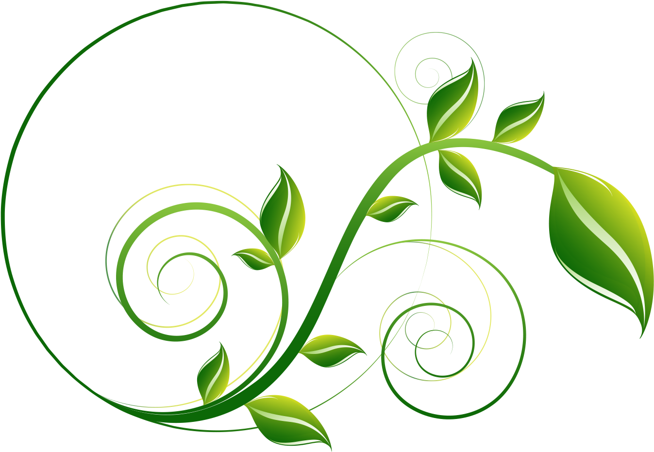 Decorative Leaf Png File (1534x1100), Png Download