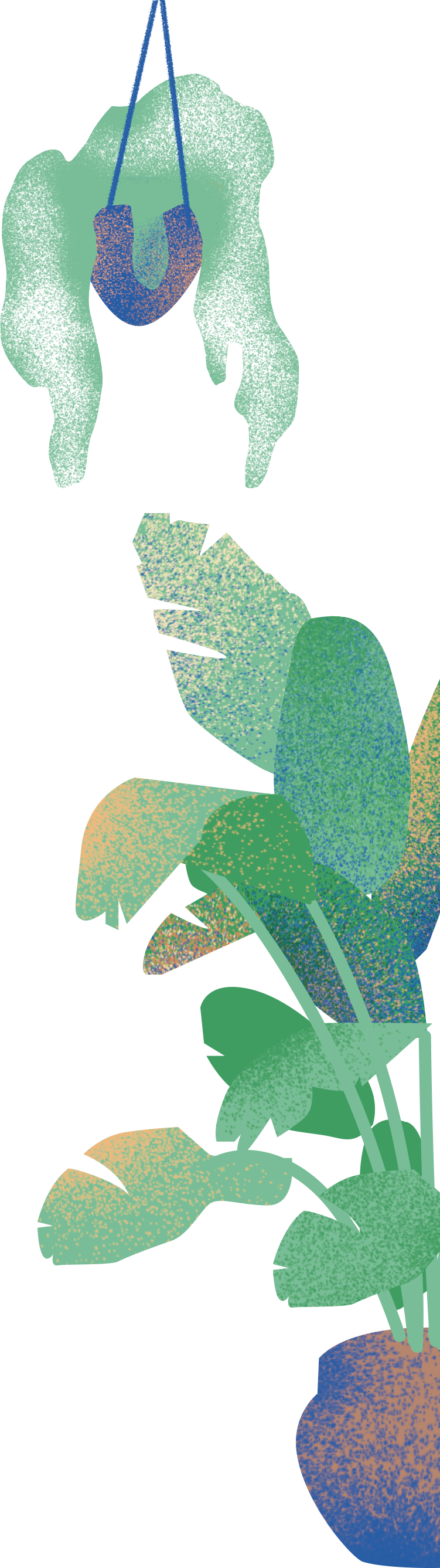 Plantas - Illustration (751x2674), Png Download