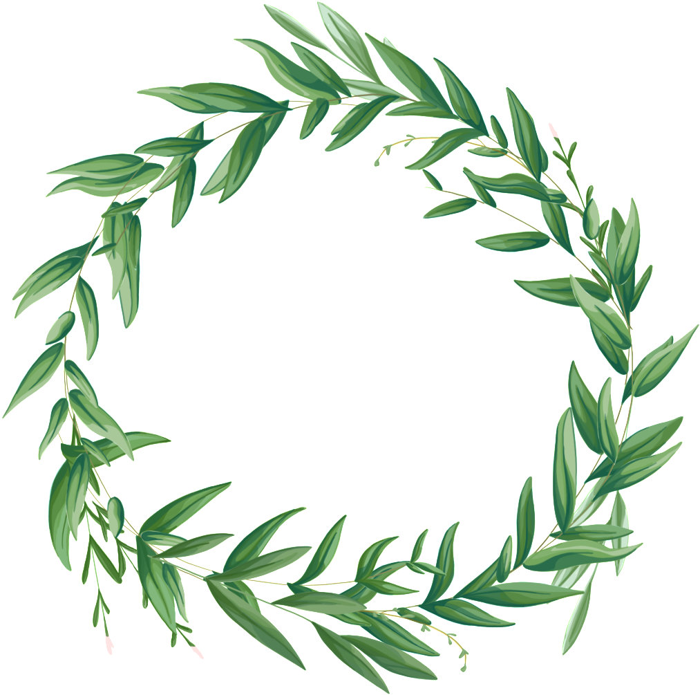 Download El Circulo De Plantas De Flores Es Un Png Transparente Green Png Image With No Background Pngkey Com
