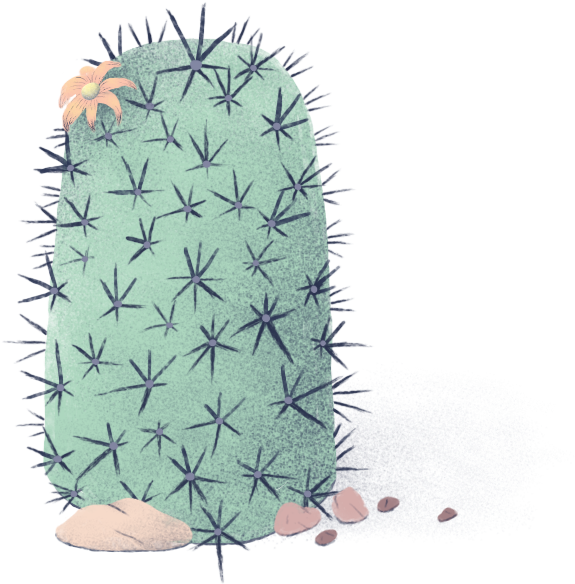 Weberocereus (574x600), Png Download