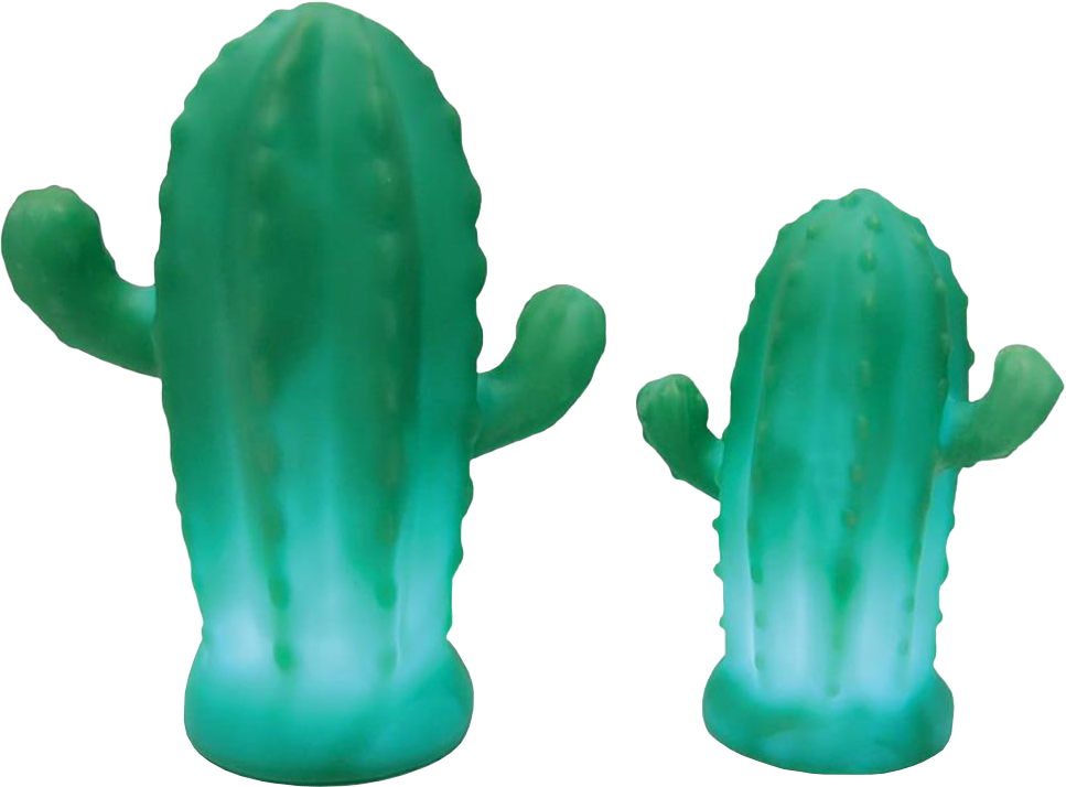 Illuminate - Eastern Prickly Pear (967x714), Png Download