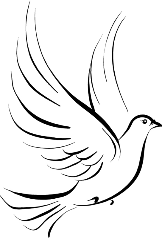 Tattoo Stencil Pigeon Pen Jane Drawing Clipart - Dove Clipart Png Transparent Background (544x800), Png Download