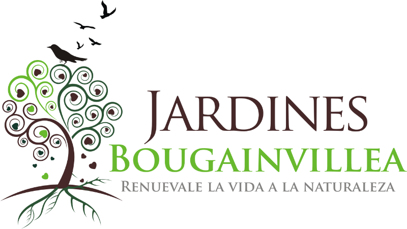 <p - Swirly Tree (800x450), Png Download