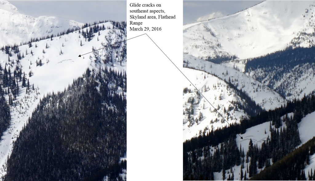 Https - //flatheadavalanche - - Snow (1024x589), Png Download