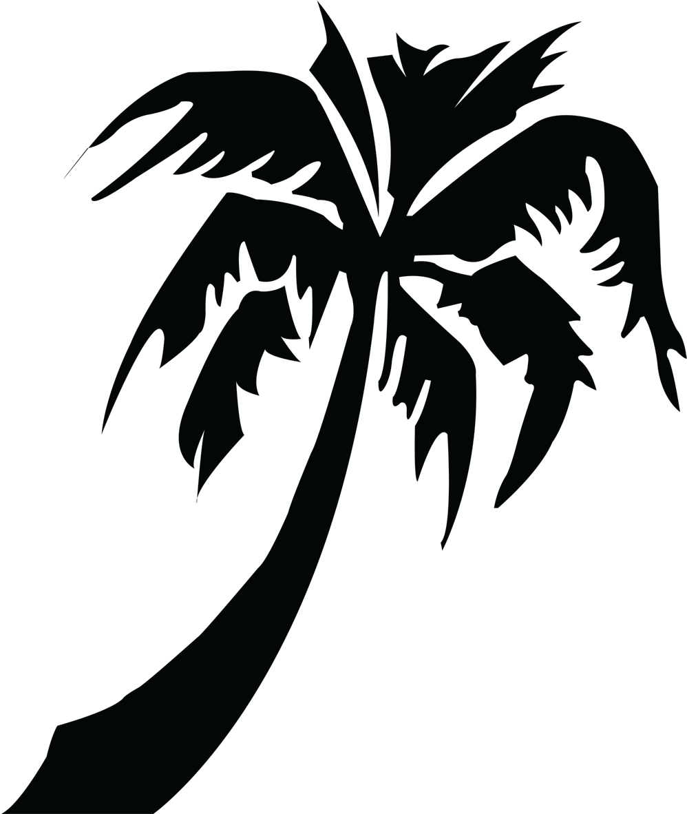 Picture Of Palm Tree - Tropical Palm Tree Silhouette (1181x1181), Png Download