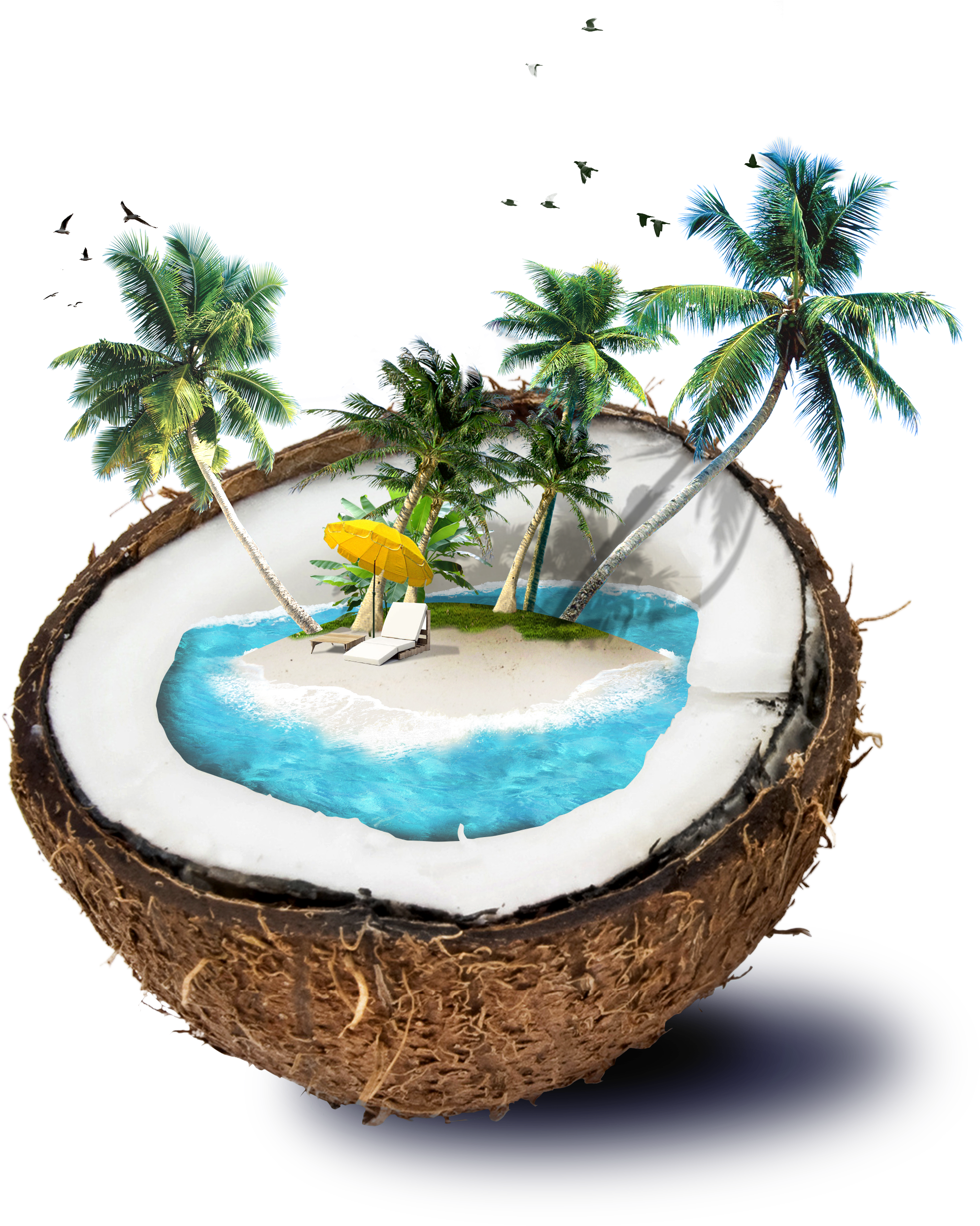 Coconut Travel Material Water Template Shading Borders,shading - Manipulation Of Summer Photoshop (2480x2864), Png Download