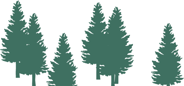 Christmas Tree (1920x1080), Png Download