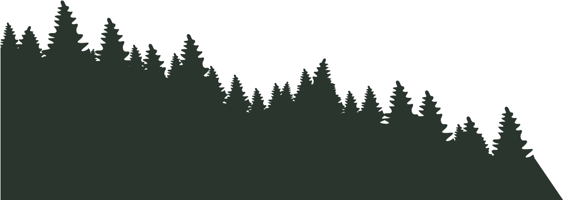 Shortleaf Black Spruce (1646x780), Png Download