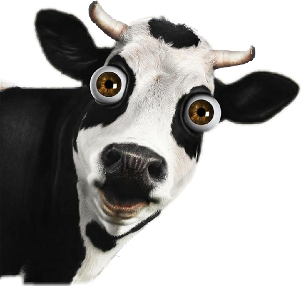Cow Sticker - Cow Welcome (1024x972), Png Download