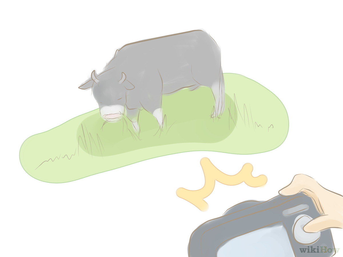 Dairy Cow (1200x900), Png Download