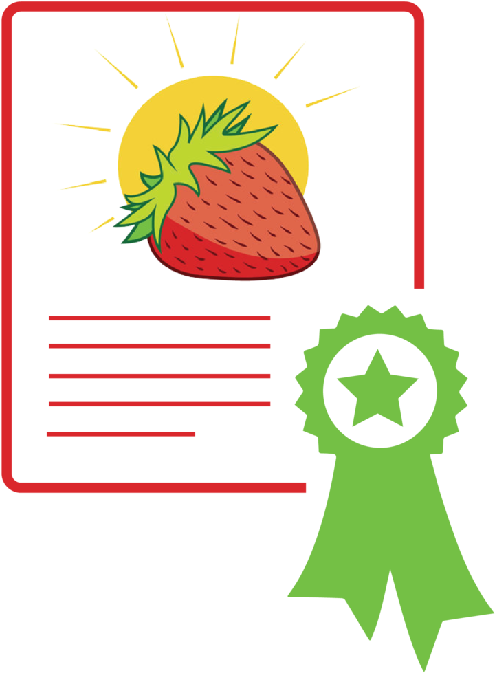 Warranty-01 - Transparent Blue Ribbon Vector (1000x1154), Png Download