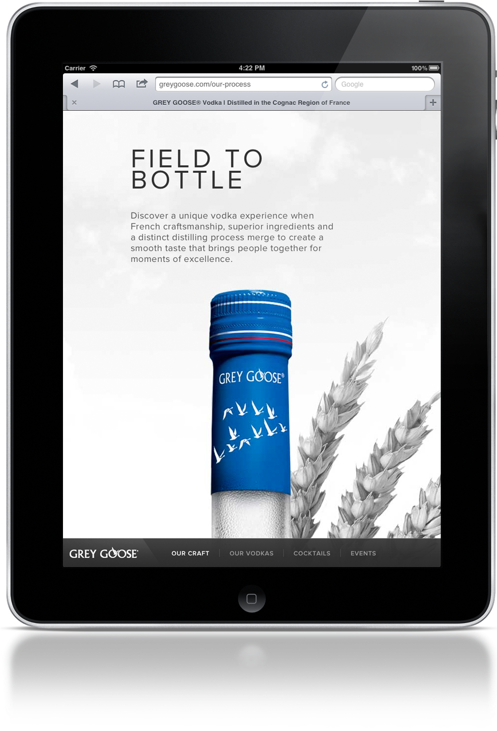 The Player Is Having Trouble - Ipad (1009x1525), Png Download