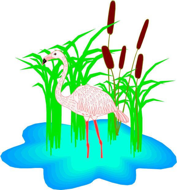 Flamingo Clipart - Clip Art (750x665), Png Download