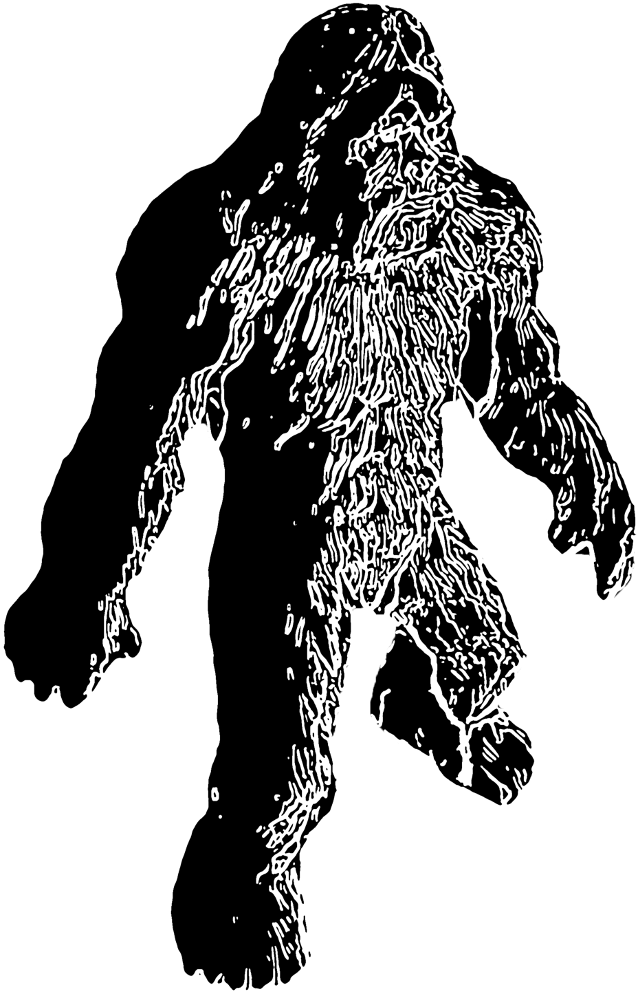 So Much For The Abominable Snowman Study Finds That - Illustration (1600x1600), Png Download