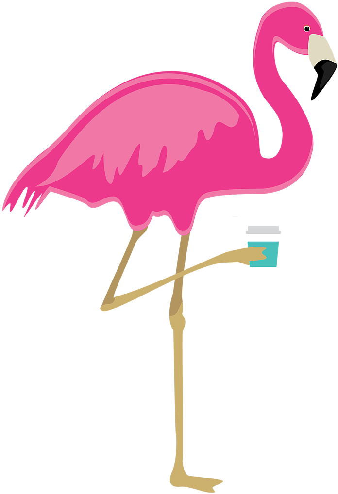 Rosie The Trailer Perk Flamingo - Greater Flamingo (731x1056), Png Download