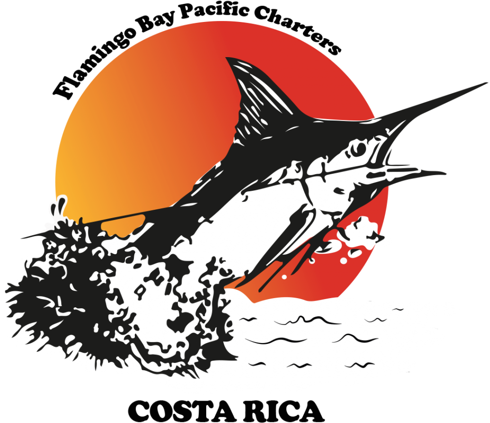 Atlantic Blue Marlin (1024x1024), Png Download