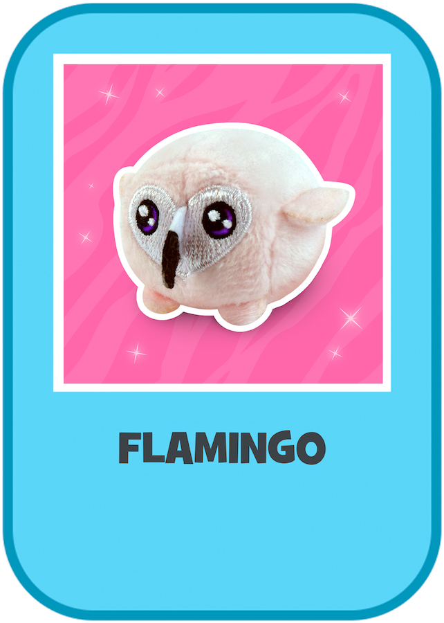 Homemicrozoo Flamingo (700x941), Png Download