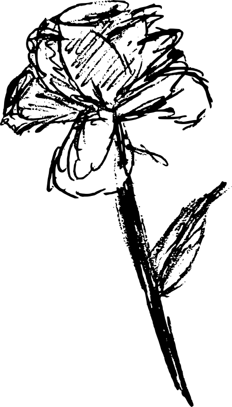 This Png File Is About Line Art , Nature , Flower , - All Clipart Art Black And White For Windows 98 (456x800), Png Download