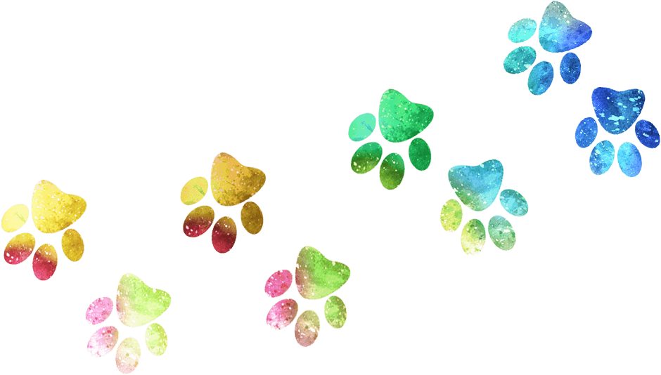 Arco Iris Sweet Lime Fizz - Floral Design (1059x609), Png Download