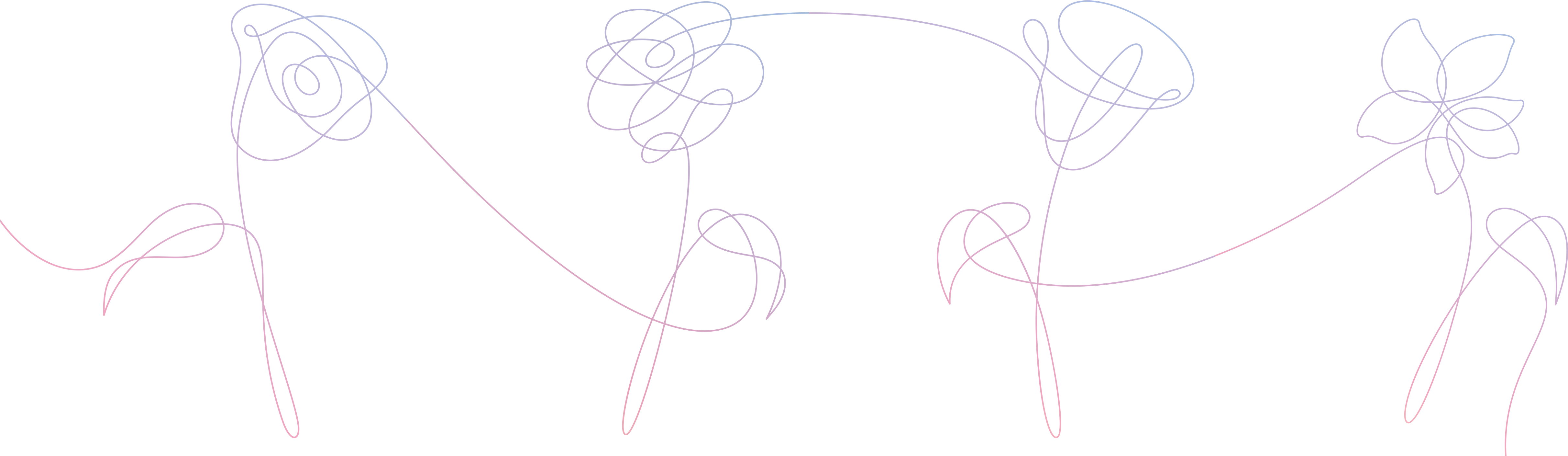 The Flowers From Each Album Version Connect - Bts Love Yourself Album Art (4972x1523), Png Download
