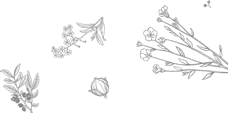 Every Day 2 Pm - Sketch (798x396), Png Download