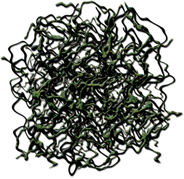 24 Mar 2009 - Circle (801x776), Png Download