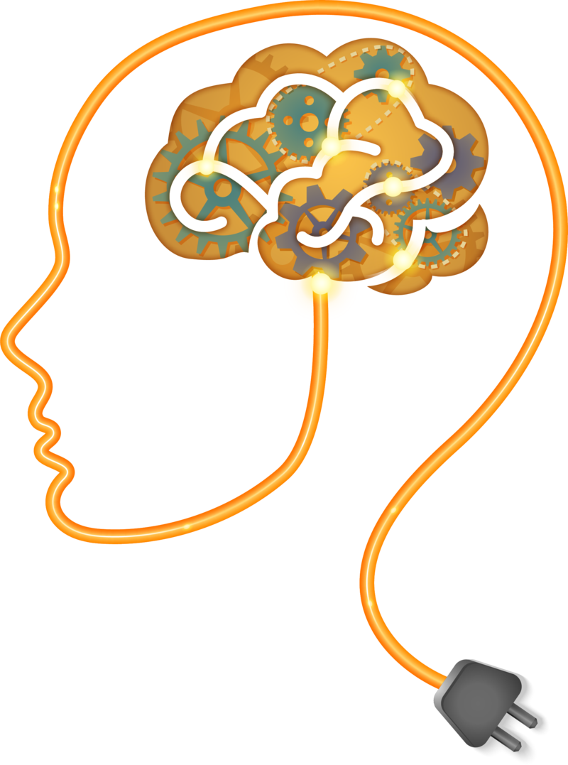 Brain The Neurofeedback Icon Hq Image Free Png - Logo Brain Vector Png (800x1077), Png Download