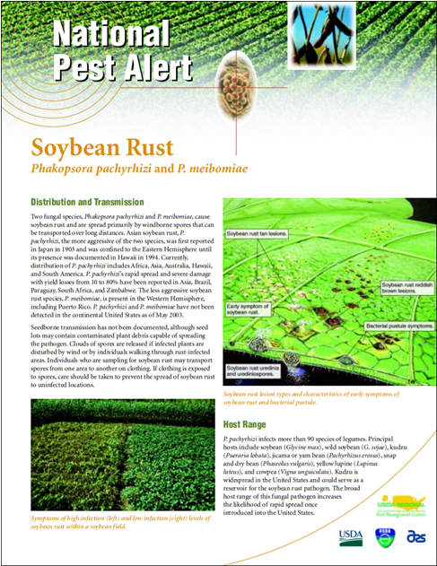 Flyer (1200x630), Png Download