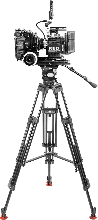 Services (381x852), Png Download