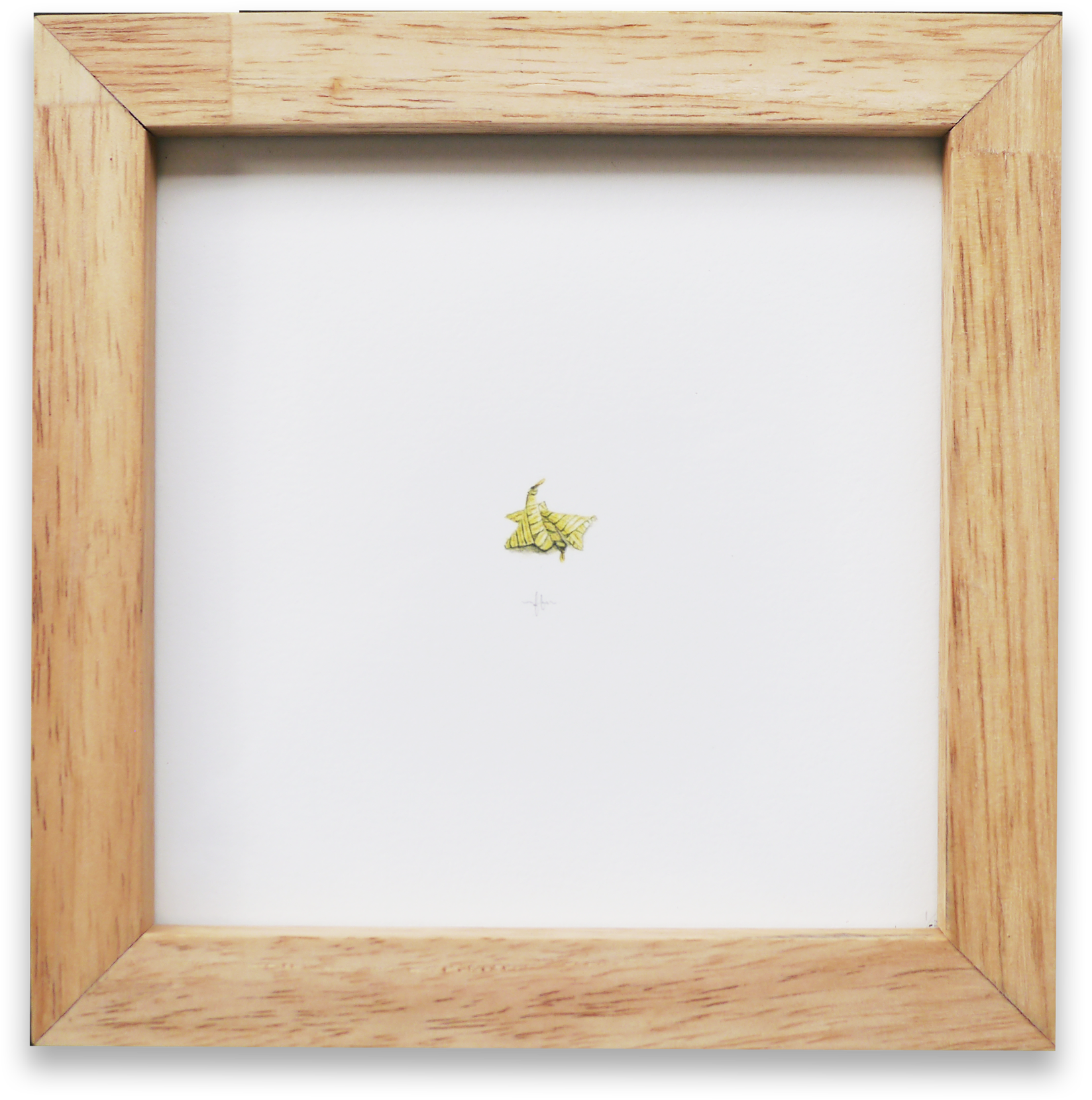 Ketupat Palas - Picture Frame (2048x1977), Png Download