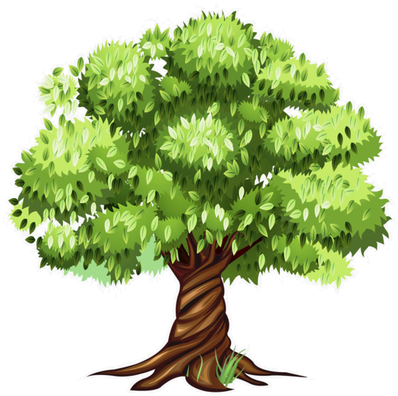 Tree Clipart, Tree Patterns, Flowering Trees, Cartoon - Tree Clipart (600x600), Png Download