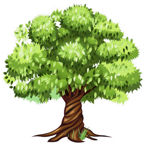 Download Tree Clipart Tree Patterns Flowering Trees Cartoon Tree Clipart Png Image With No Background Pngkey Com