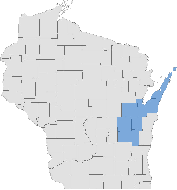 Kellan Window - Wisconsin Silhouette Vector (610x656), Png Download