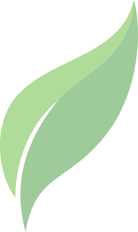 Hoja Pronaca (587x987), Png Download