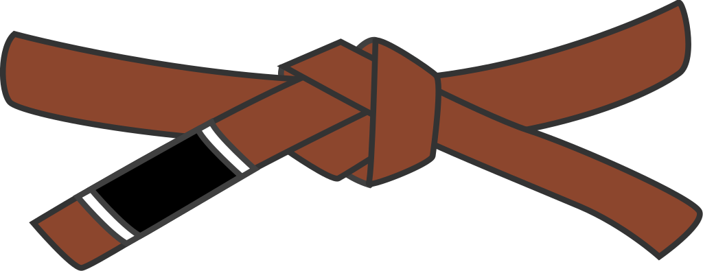 Bjj Brown Belt - Brown Belt Bjj (1024x395), Png Download