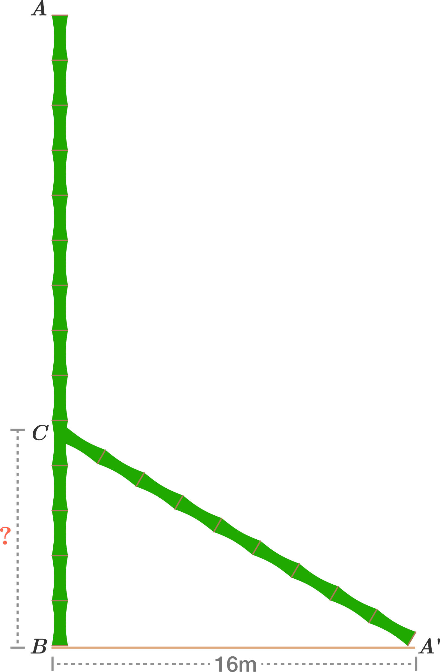 Bamboo Stick Was Broken By The Wind, Such That The - Plot (1468x2239), Png Download