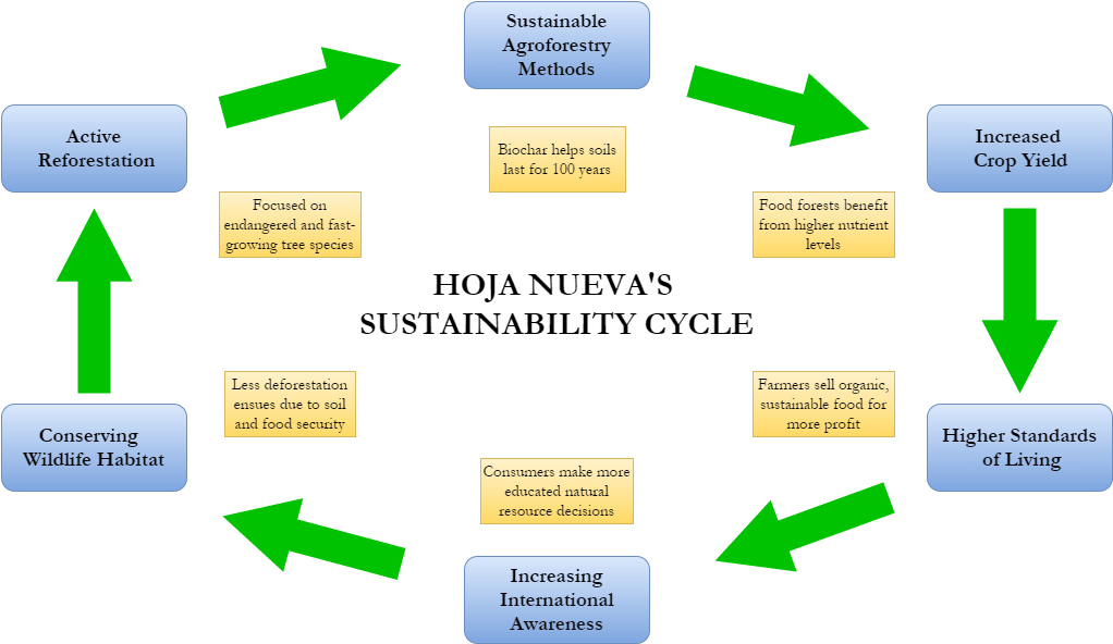 Hoja Nueva Diagram - Content Creation Flow Chart (1023x601), Png Download