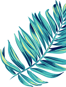 Hoja Port 01 - Illustration (1030x687), Png Download