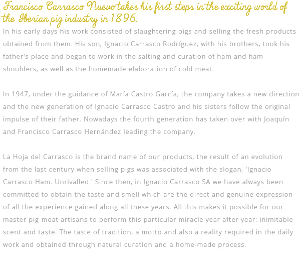 Francisco Carrasco Nuevo Takes His First Steps In The - Document (598x575), Png Download