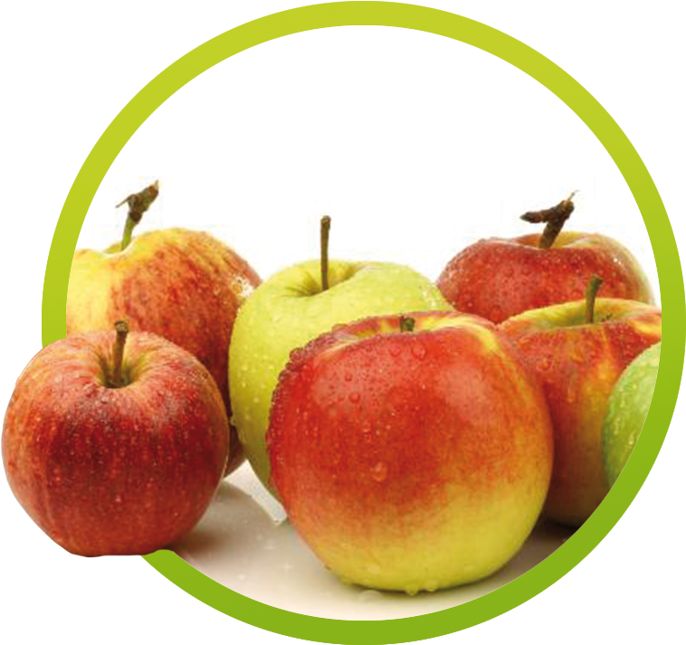 Manzana - Fruit (1000x1000), Png Download