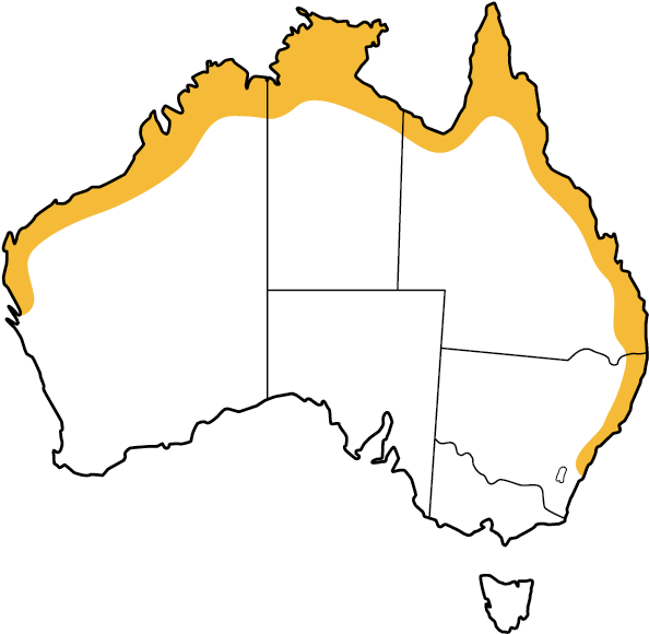 Map Black Flying-fox - Arnhem Land Australia Map (828x709), Png Download