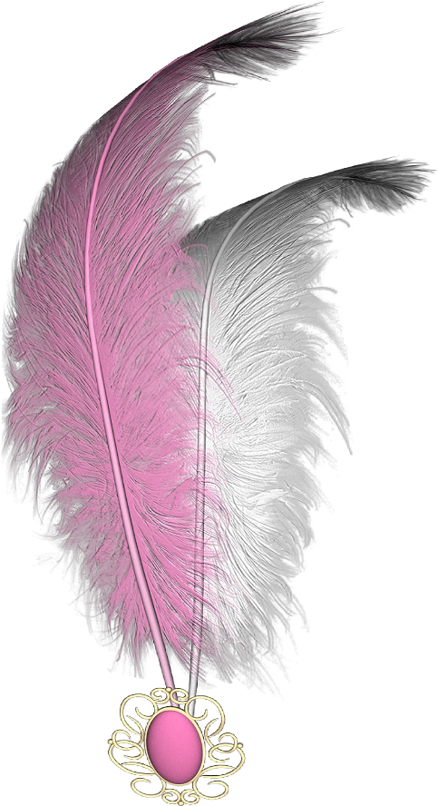 Mq Sticker - Feather (1024x1024), Png Download