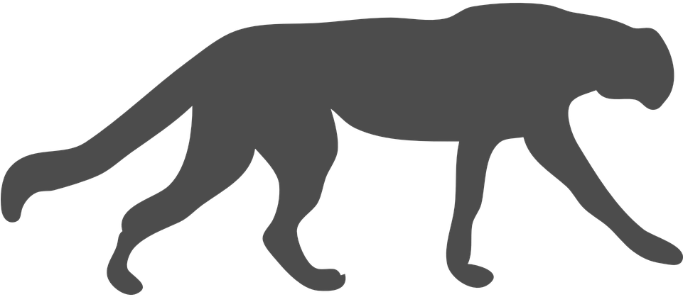 Wildcat Clipart Cougar - Black Outline Of Animals (961x419), Png Download