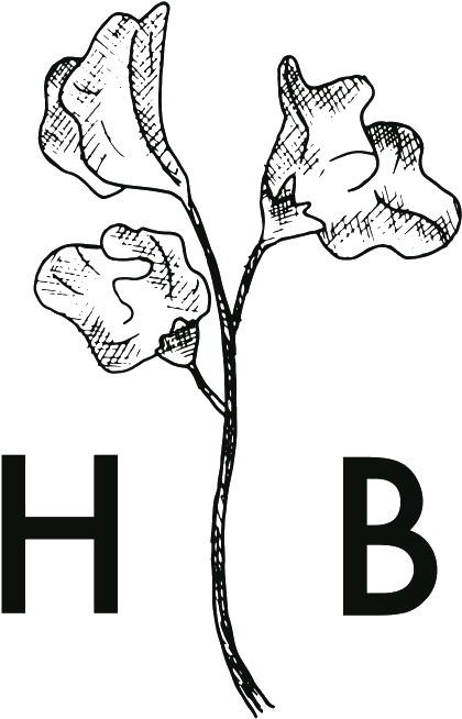 Hudson Botanica Floral Design - Orchid (727x793), Png Download