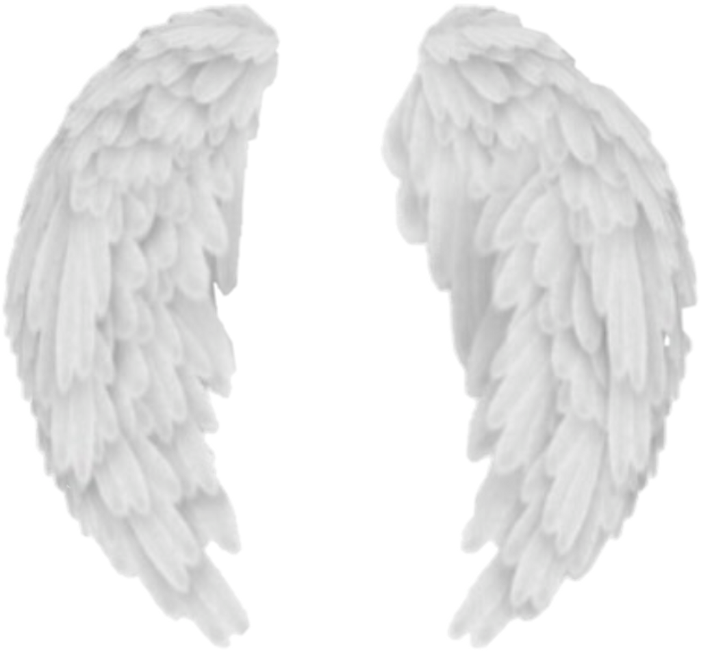 Wings Sticker - Angel Wings (1024x951), Png Download