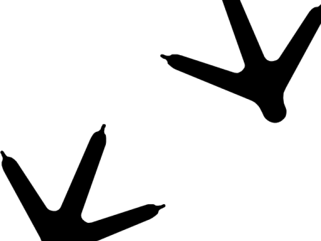 Turkey Flag Clipart Downloadable (640x480), Png Download