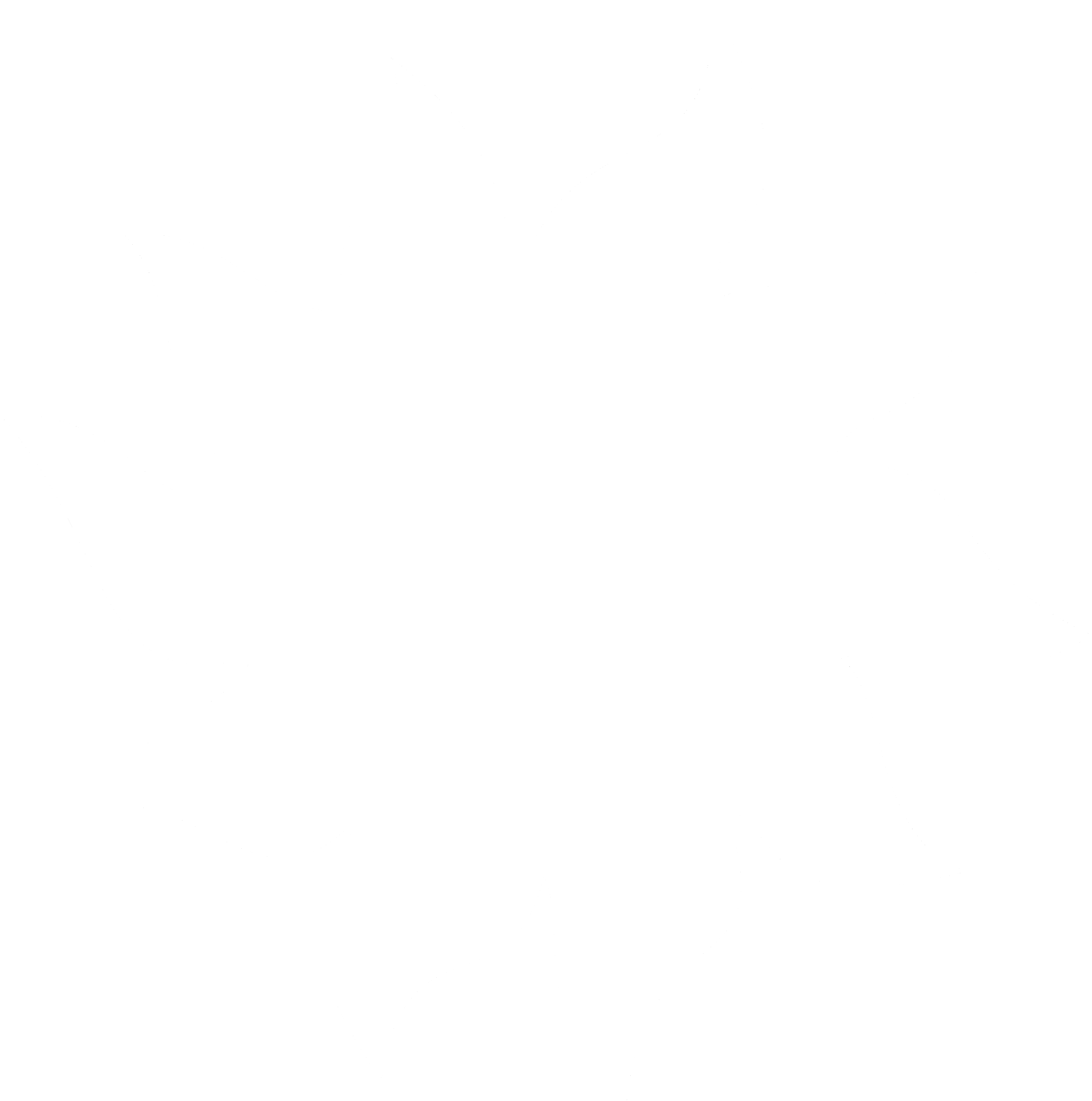 Canyon Haifa Logo Black And White - Twitter White Icon Png (2400x2400), Png Download