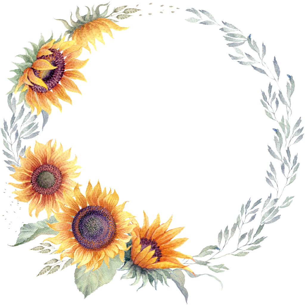 Sunflower (1024x1024), Png Download