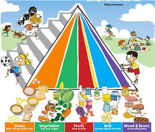 How Money Changed The Food Pyramid And Your Health - Mypyramid For Kids (700x455), Png Download